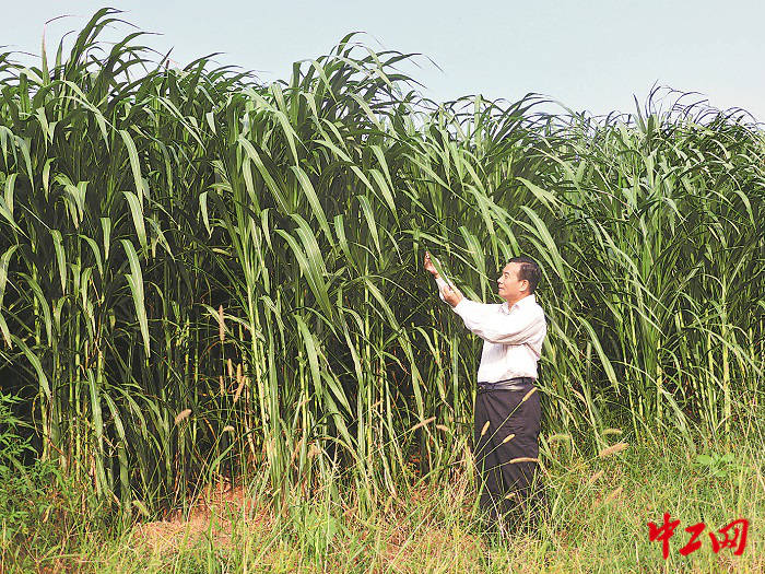 3076094_tpzz_1753948844056_b 3076094_tpzz_1753948844056_b