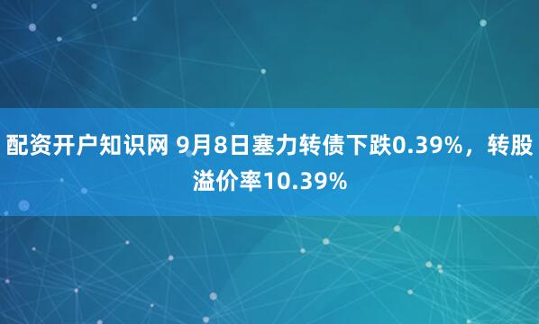 配资开户知识网 9月8日塞力转债下跌0.39%，转股溢价率10.39%