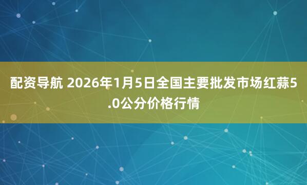 配资导航 2026年1月5日全国主要批发市场红蒜5.0公分价格行情
